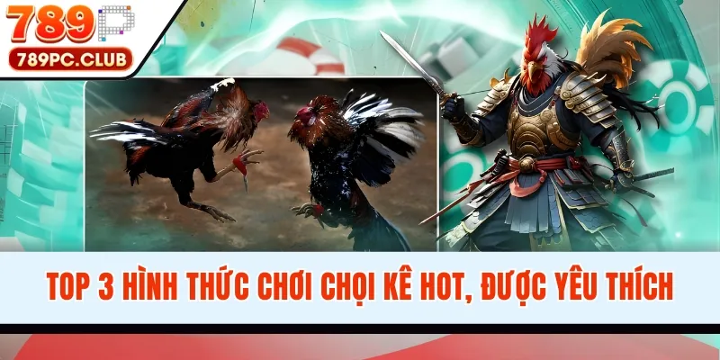 Top 3 hình thức chơi chọi kê hot, được yêu thích
